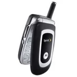 Motorola C290