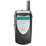 Motorola V60p
